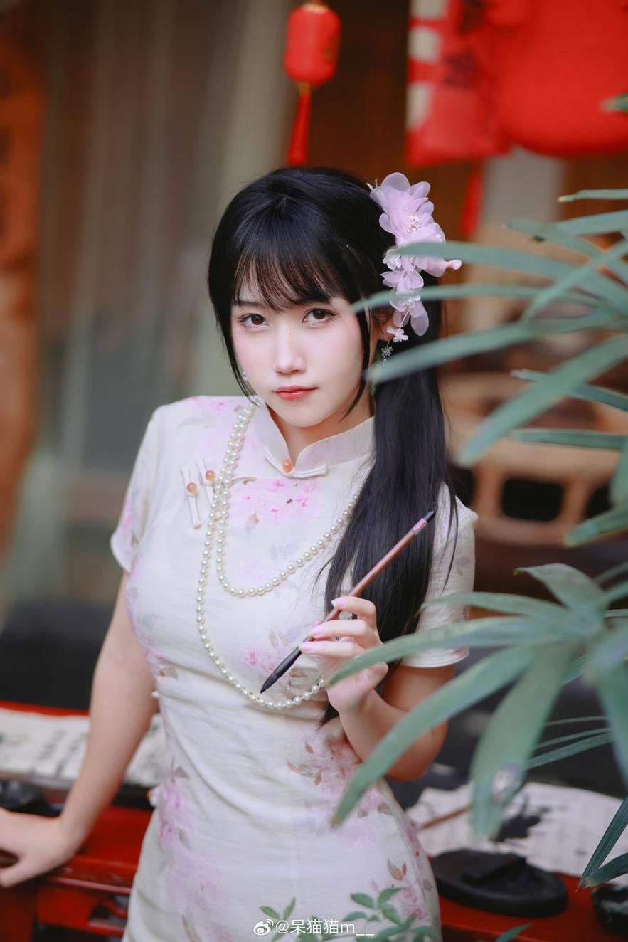 不呆猫最新图包，带你领略精美摄影作品